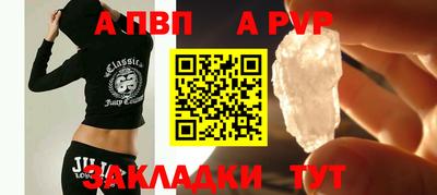 СК Гатчина
