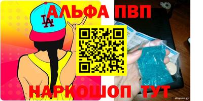 СК Гатчина