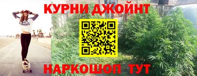 гидропоника Гагарин